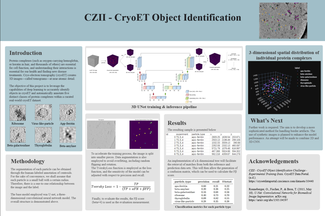 CryoET